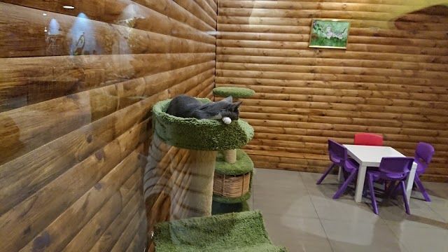 Zootopia Contact Zoo